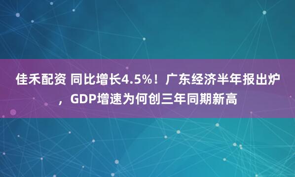 佳禾配资 同比增长4.5%！广东经济半年报出炉，GDP增速为何创三年同期新高